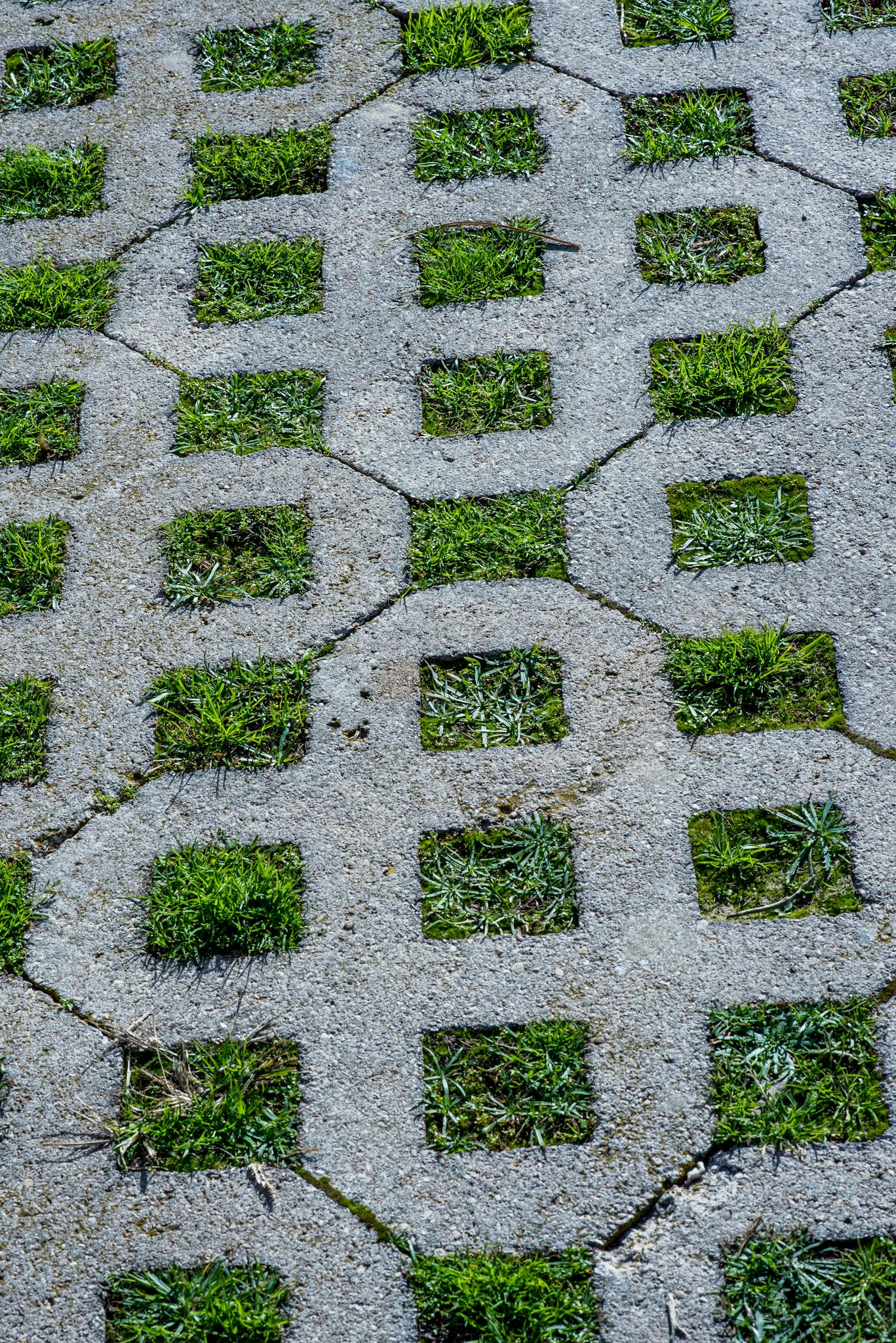 Geometric concrete pavers with green grass squares create a modern outdoor surface pattern.